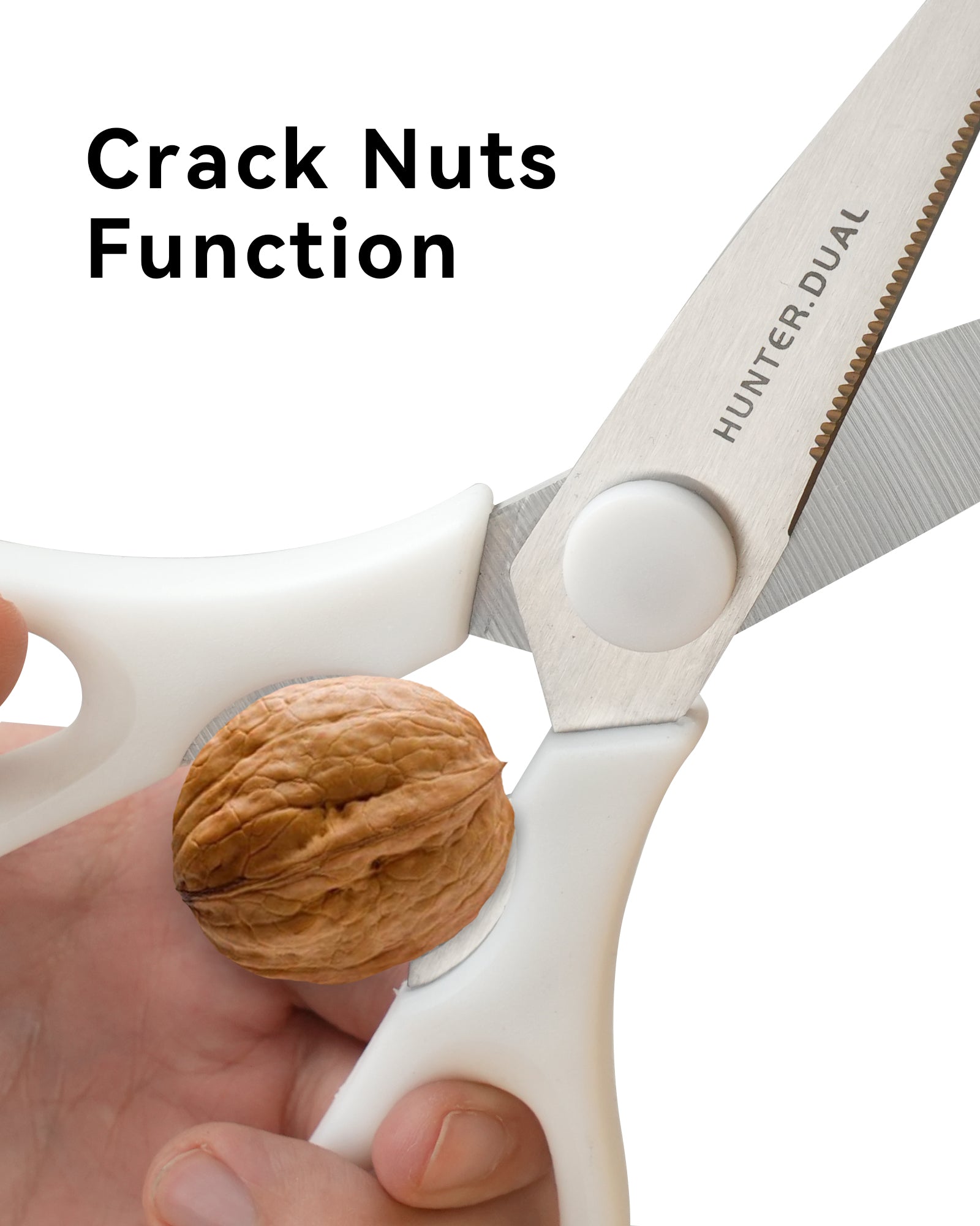 8.35" Heavy Duty Kitchen Scissors, Come-Apart Poultry Shears for Chicken and Meat, White