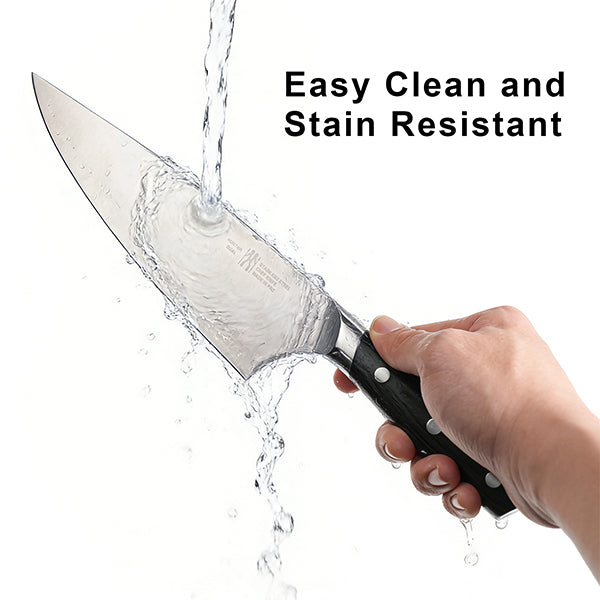 8" Professional Chef Knife, High Carbon Japanese Steel Kitchen Knife with Ergonomic Handle