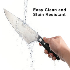 8" Professional Chef Knife, High Carbon Japanese Steel Kitchen Knife with Ergonomic Handle